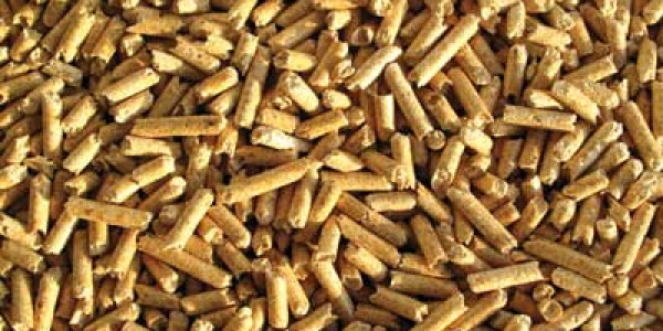 Air Liquide, CEA Partner On Biofuel Production Pilot In France