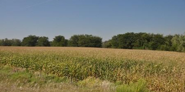 US Farmland Appears Dangerously Overpriced, Analysts Say, And Small Community Banks Could Suffer In Any Abrupt Downturn