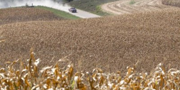 ANALYST: We Are Seeing A Farm Bubble In The Corn Belt