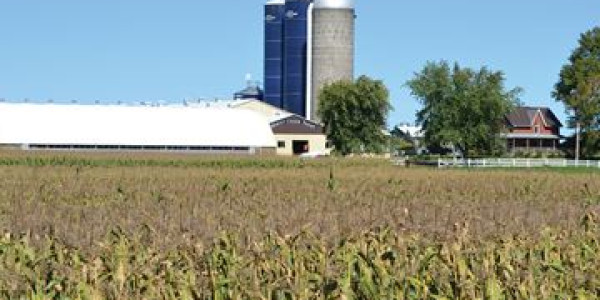 Ontario Farmland Prices Growing