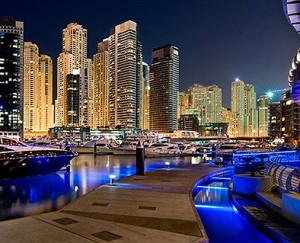 Dubai Property